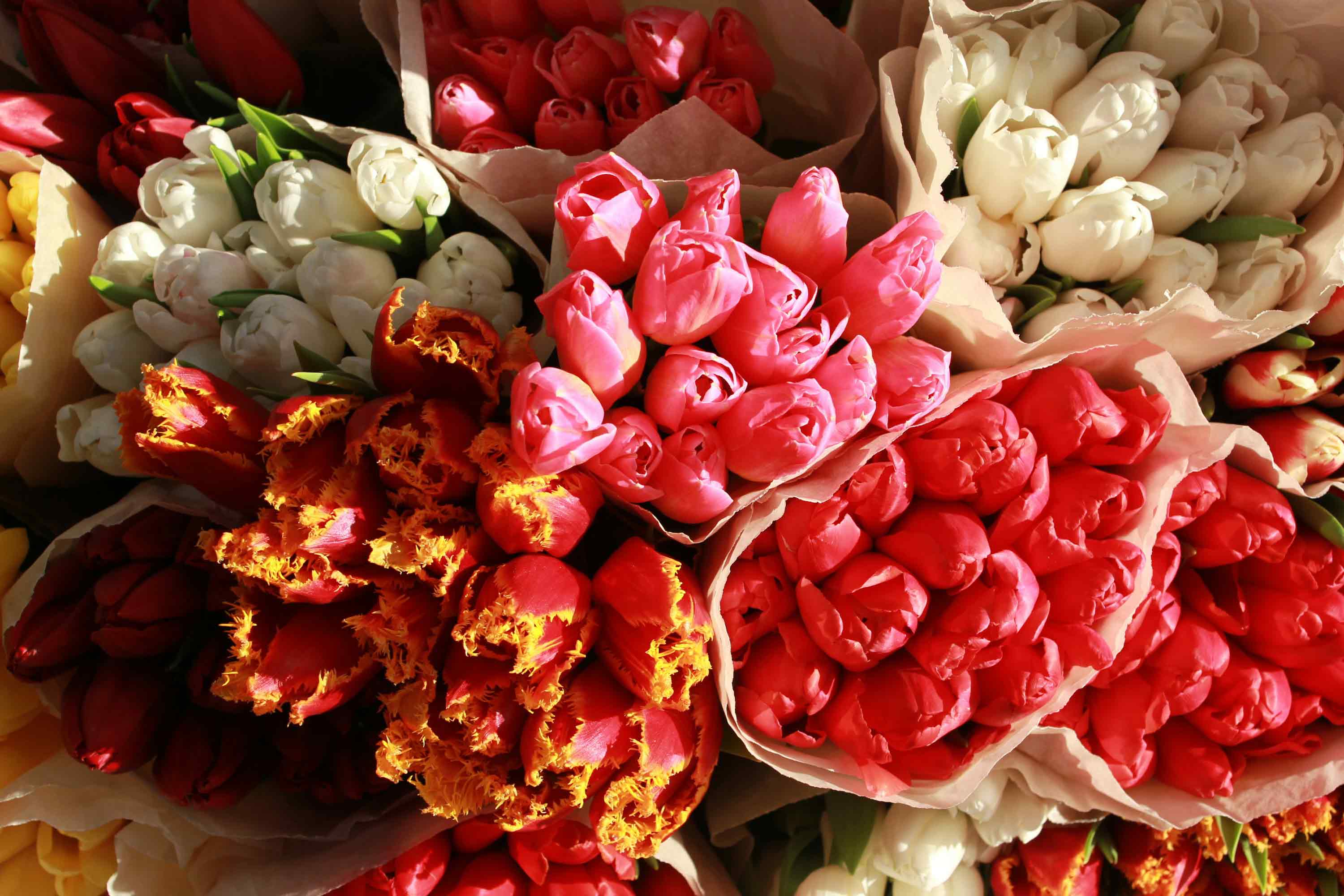Colorful bouquet