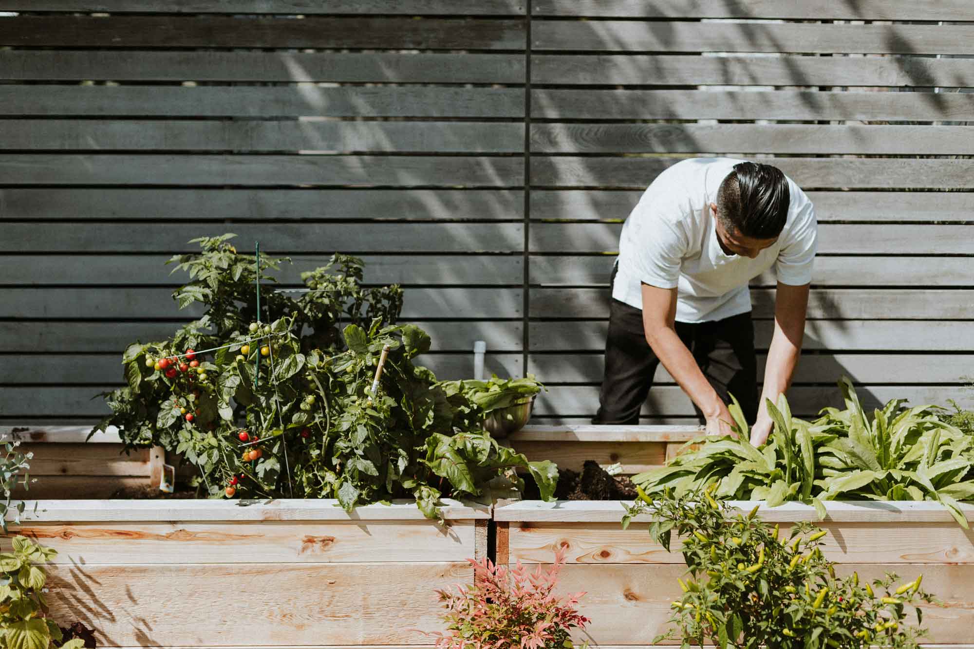 Plant propagation class