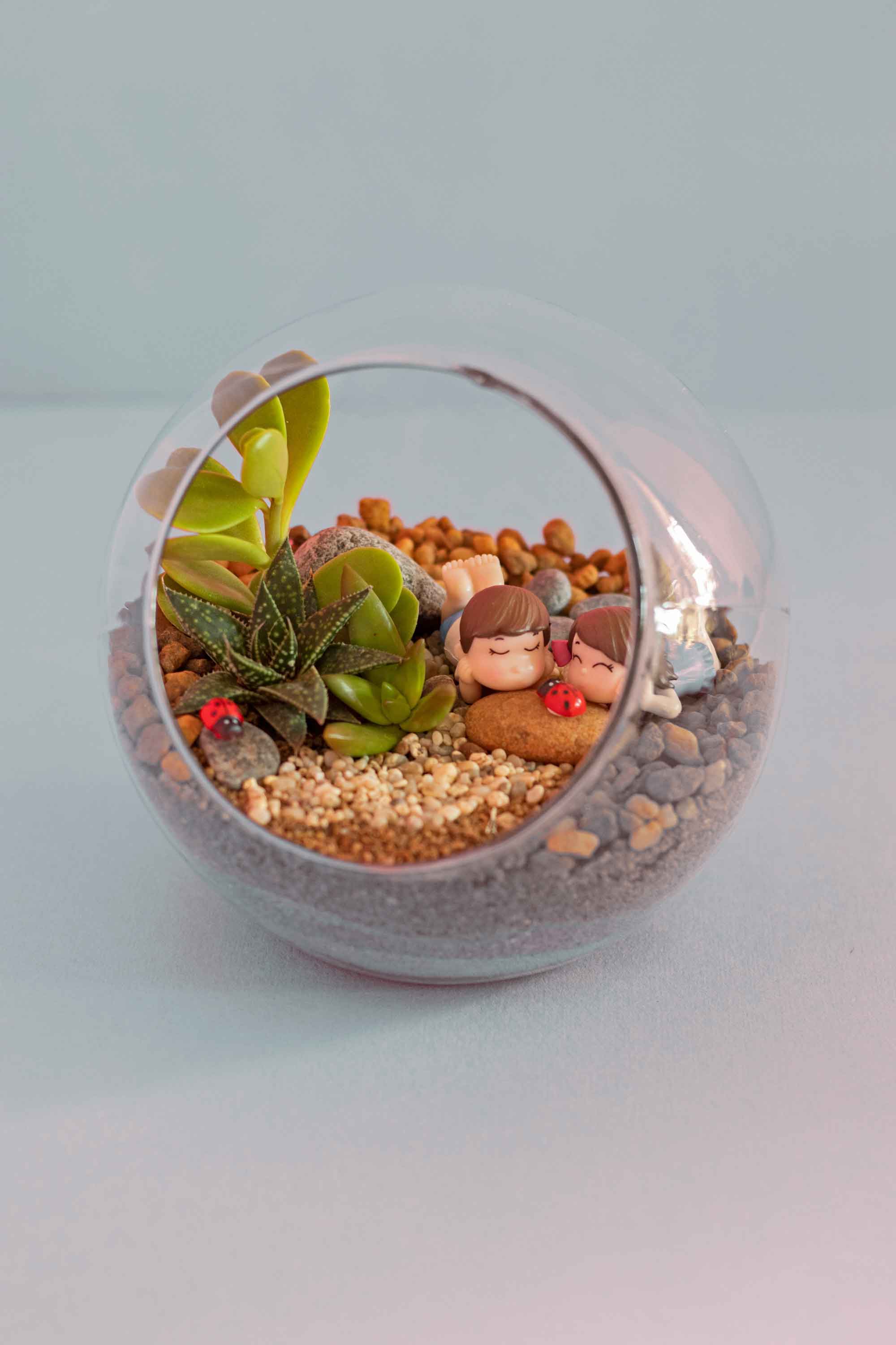 Decorative terrarium