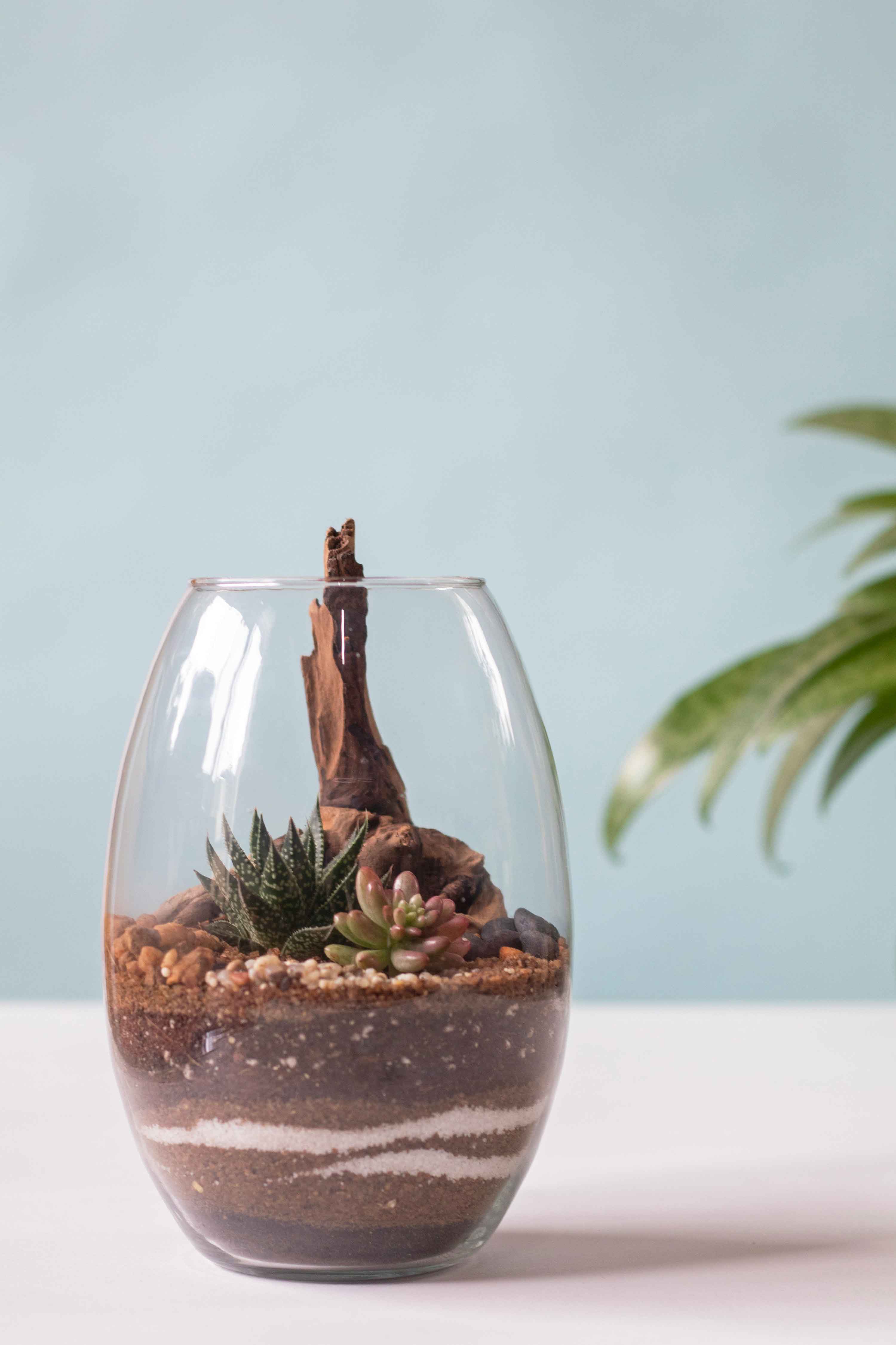 Terrarium workshop